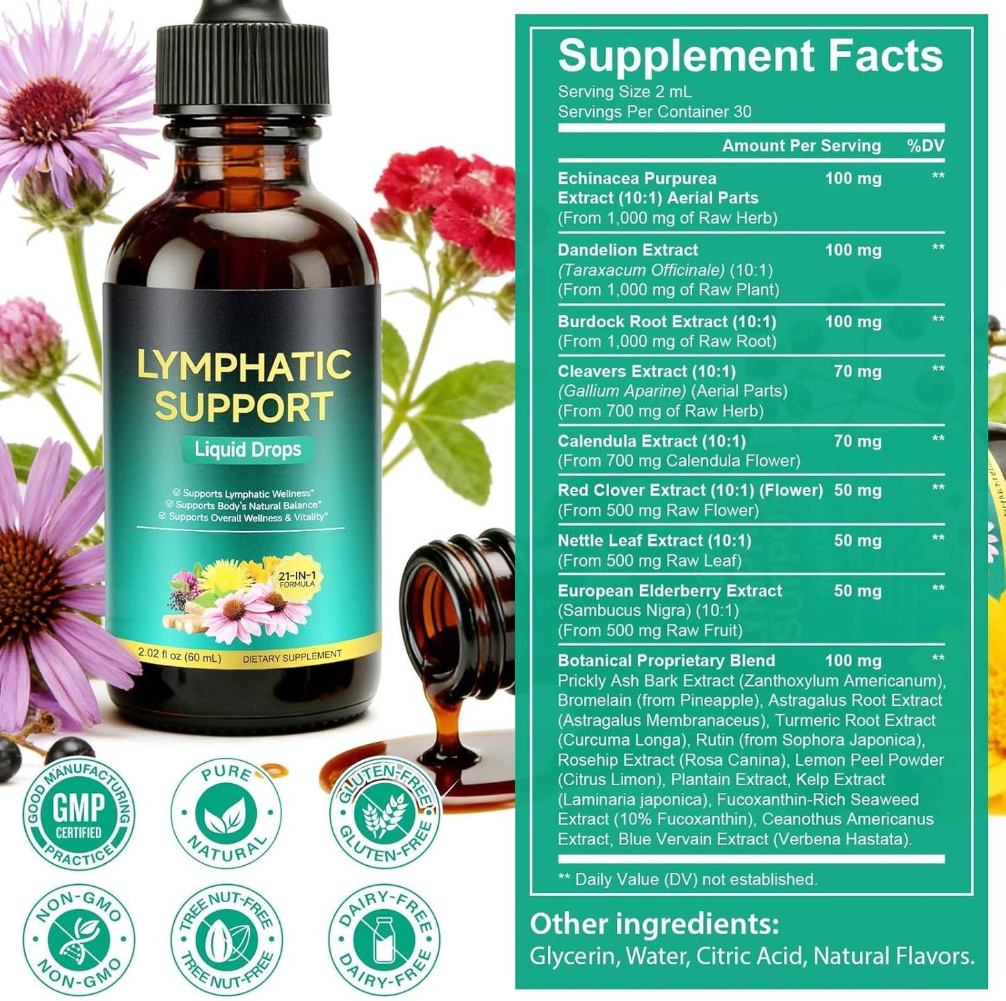 Lymphatic Drainage Drops, Support Supplement with Echinacea, Dandelion, Elderberry, Cleavers, Astragalus, Burdock & More, 2 FL OZ - Natural Lymphatic Cleanse & Immune Support