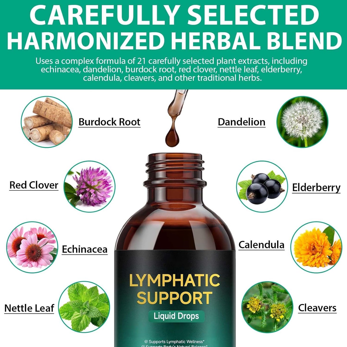 Lymphatic Drainage Drops, Support Supplement with Echinacea, Dandelion, Elderberry, Cleavers, Astragalus, Burdock & More, 2 FL OZ - Natural Lymphatic Cleanse & Immune Support